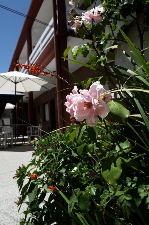 Hosteria Robert Villa Gesell Eksteriør billede